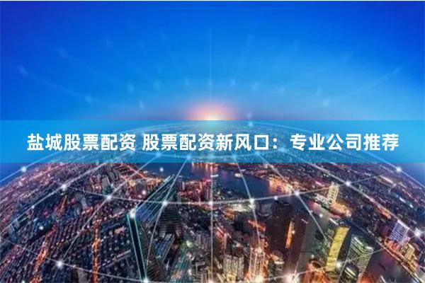 盐城股票配资 股票配资新风口:专业公司推荐